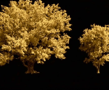 Modern Tree-ID:690800912