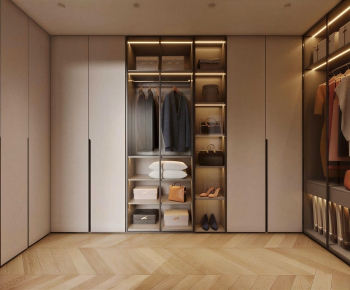 Modern Clothes Storage Area-ID:496943002
