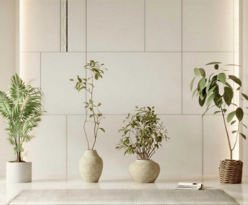 Modern Ground Green Plant Potted Plants-ID:665688999