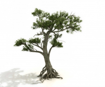 Modern Tree-ID:858721978