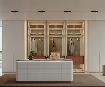 Modern Clothes Storage Area-ID:519876968