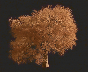 Modern Tree-ID:613835101