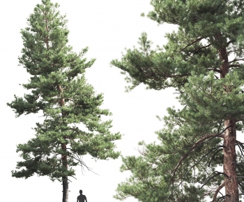 Modern Tree-ID:390645033