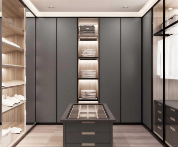 Modern Clothes Storage Area-ID:563556915