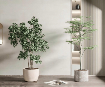 Modern Ground Green Plant Potted Plants-ID:484544047