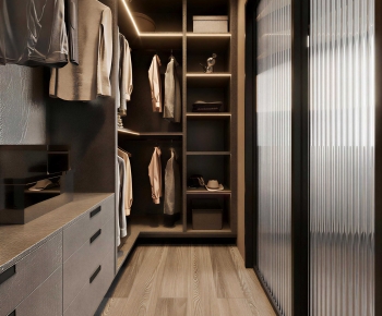 Modern Clothes Storage Area-ID:355241068