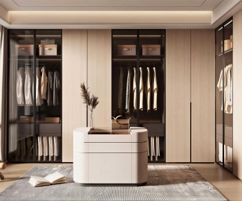 Modern Clothes Storage Area-ID:464476115