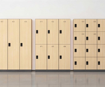Modern Public Cabinet/lock Cabinet-ID:839916943