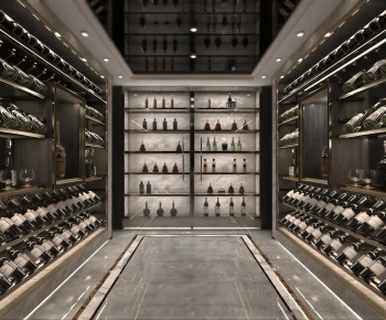 Modern Wine Cellar/Wine Tasting Room-ID:749684101