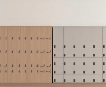 Modern Public Cabinet/lock Cabinet-ID:333255054