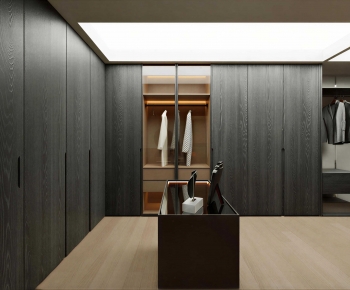 Modern Clothes Storage Area-ID:779973035