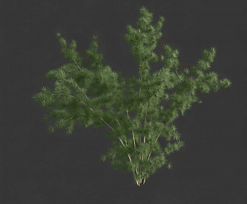 Modern Shrubbery-ID:132253891