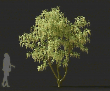 Modern Tree-ID:115523104