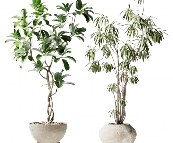 Modern Ground Green Plant Potted Plants-ID:262725114