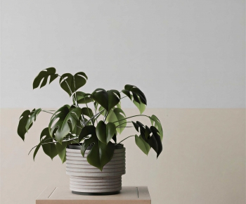 Modern Potted Green Plant-ID:865103015