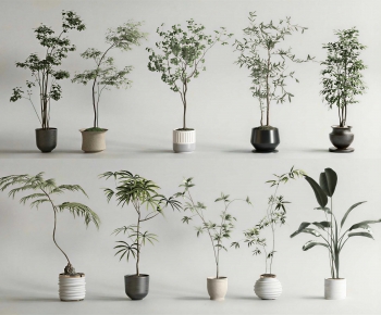 Modern Ground Green Plant Potted Plants-ID:190373905