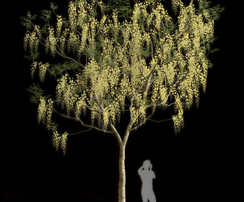 Modern Tree-ID:282963041