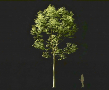 Modern Tree-ID:154483087