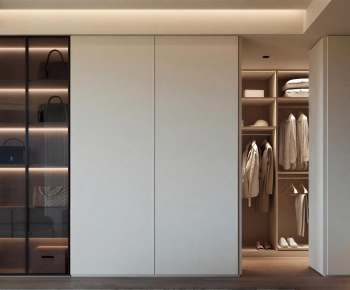 Modern Clothes Storage Area-ID:311989077