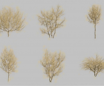 Modern Tree-ID:847907078