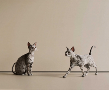 Modern Animal Cat-ID:174870972