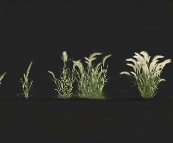 Modern The Grass-ID:854508953