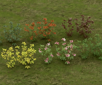 Modern Shrubbery-ID:903552065