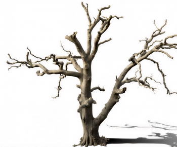 Modern Tree-ID:612928996