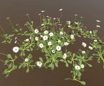 Modern Flowers And Grass-ID:622441054