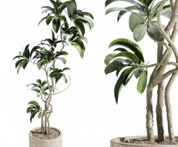 Modern Ground Green Plant Potted Plants-ID:945520411