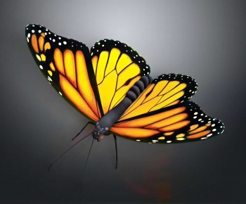 Modern Flying Animals-ID:448318967