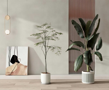 Modern Ground Green Plant Potted Plants-ID:787895923