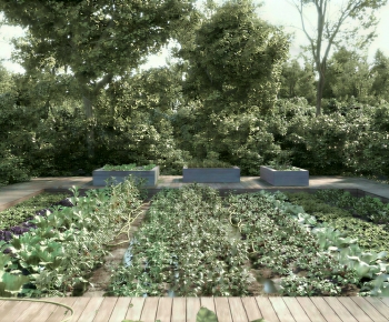 Modern Crop-ID:432459123