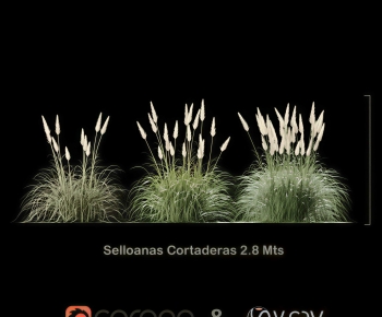 Modern The Grass-ID:872564085