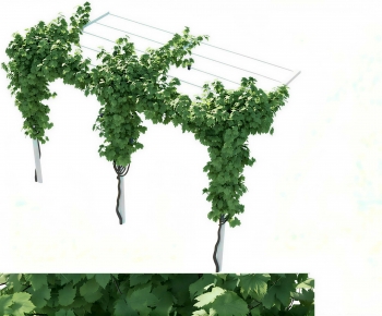 Modern Vine-ID:156099853