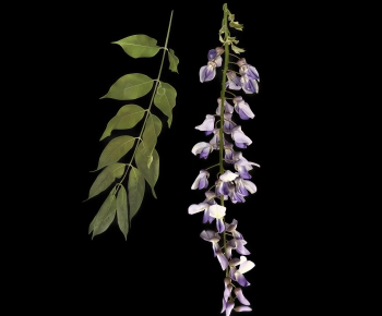 Modern Flowers And Grass-ID:653183945