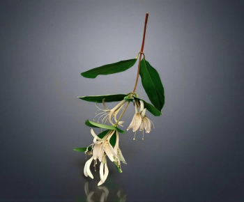 Modern Tree/shrub/grass-ID:814546118