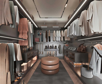 Modern Clothes Storage Area-ID:613257882