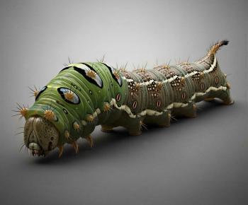 Modern Other Animals-ID:629548079