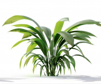 Modern Plant-ID:759569883