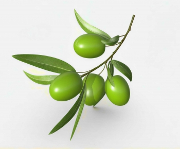 Modern Other-ID:380610949
