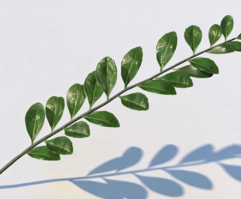 Modern Tree/shrub/grass-ID:323692084