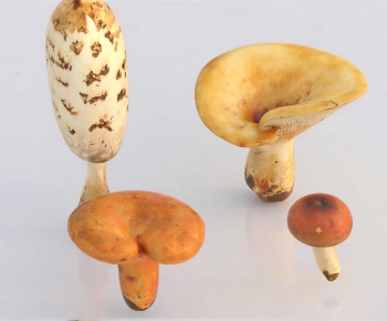 Modern Vegetables-ID:932652956