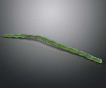 Modern Vegetables-ID:102999255