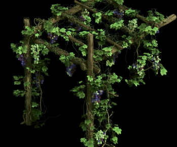 Modern Vine-ID:604048973