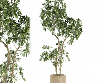 Modern Ground Green Plant Potted Plants-ID:256119973