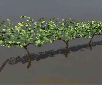 Modern Tree-ID:159951932