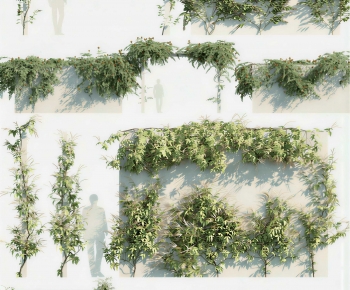 Modern Vine-ID:228755007