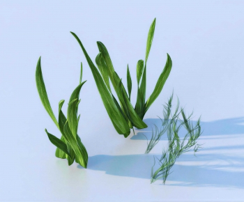 Modern Plant-ID:584450011