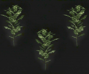 Modern Tree/shrub/grass-ID:319161892